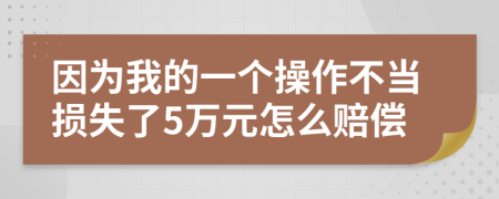 因为我的一个操作不当损失了5万元怎么赔偿