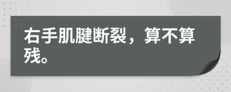 右手肌腱断裂，算不算残。