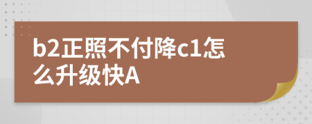 b2正照不付降c1怎么升级快A