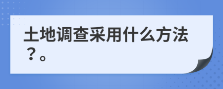 土地调查采用什么方法？。