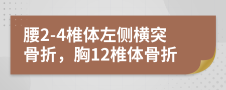 腰2-4椎体左侧横突骨折，胸12椎体骨折