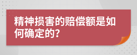 精神损害的赔偿额是如何确定的？