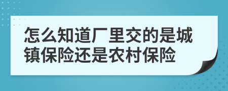 怎么知道厂里交的是城镇保险还是农村保险