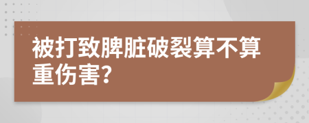 被打致脾脏破裂算不算重伤害？