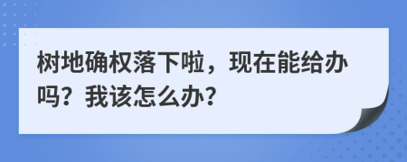 树地确权落下啦，现在能给办吗？我该怎么办？