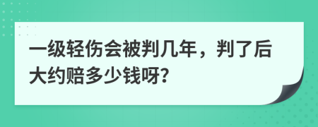 一级轻伤会被判几年，判了后大约赔多少钱呀？