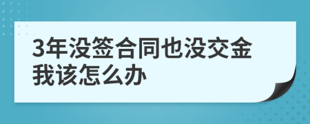 3年没签合同也没交金我该怎么办