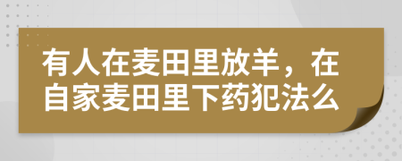 有人在麦田里放羊，在自家麦田里下药犯法么