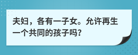 夫妇，各有一子女。允许再生一个共同的孩子吗？