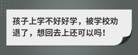 孩子上学不好好学，被学校劝退了，想回去上还可以吗！