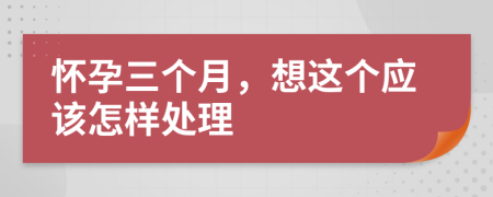 怀孕三个月，想这个应该怎样处理