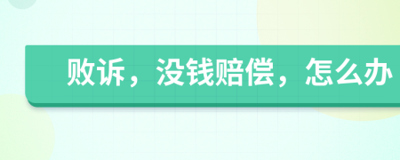 败诉，没钱赔偿，怎么办
