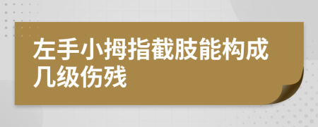 左手小拇指截肢能构成几级伤残