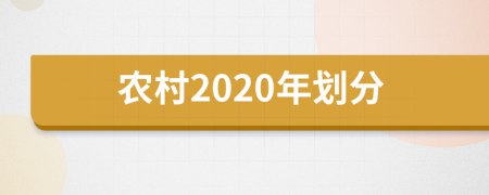 农村2020年划分