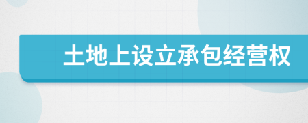 土地上设立承包经营权