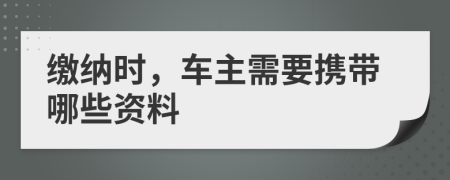 缴纳时，车主需要携带哪些资料
