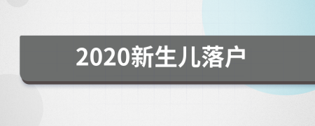 2020新生儿落户