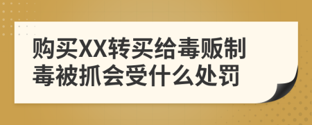 购买XX转买给毒贩制毒被抓会受什么处罚