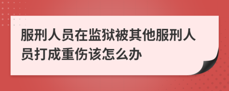 服刑人员在监狱被其他服刑人员打成重伤该怎么办