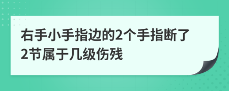 右手小手指边的2个手指断了2节属于几级伤残