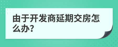 由于开发商延期交房怎么办？