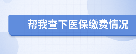 帮我查下医保缴费情况