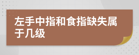 左手中指和食指缺失属于几级