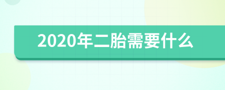 2020年二胎需要什么