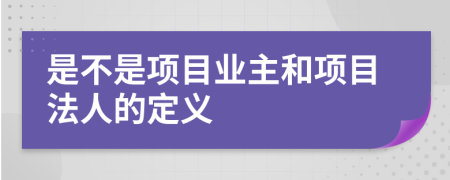 是不是项目业主和项目法人的定义