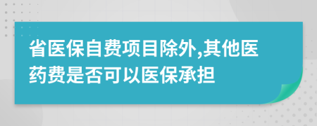 省医保自费项目除外,其他医药费是否可以医保承担