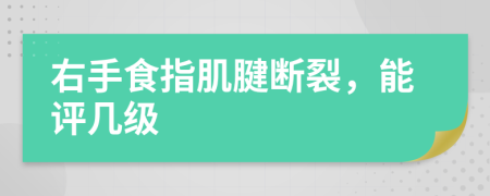 右手食指肌腱断裂，能评几级