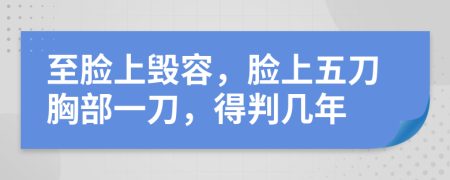 至脸上毁容，脸上五刀胸部一刀，得判几年