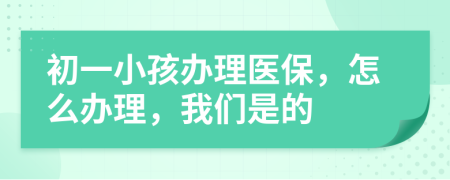 初一小孩办理医保，怎么办理，我们是的