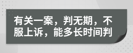 有关一案，判无期，不服上诉，能多长时间判