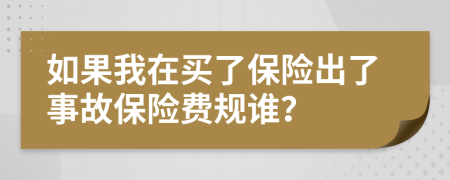 如果我在买了保险出了事故保险费规谁？