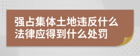 强占集体土地违反什么法律应得到什么处罚