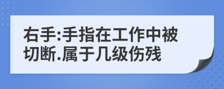 右手:手指在工作中被切断.属于几级伤残