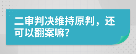 二审判决维持原判，还可以翻案嘛？