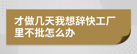 才做几天我想辞快工厂里不批怎么办