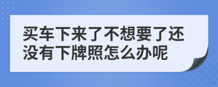 买车下来了不想要了还没有下牌照怎么办呢