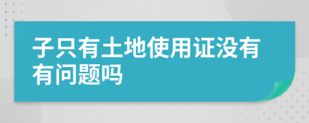 子只有土地使用证没有有问题吗