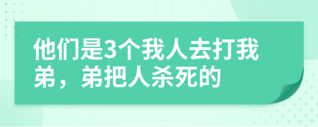 他们是3个我人去打我弟，弟把人杀死的