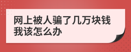 网上被人骗了几万块钱我该怎么办