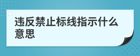 违反禁止标线指示什么意思