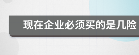 现在企业必须买的是几险