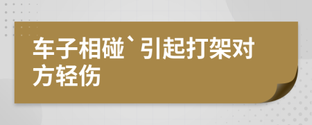 车子相碰`引起打架对方轻伤