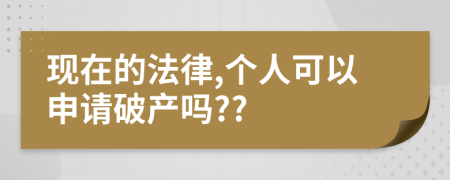 现在的法律,个人可以申请破产吗??