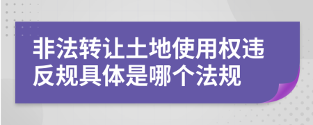 非法转让土地使用权违反规具体是哪个法规