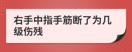 右手中指手筋断了为几级伤残