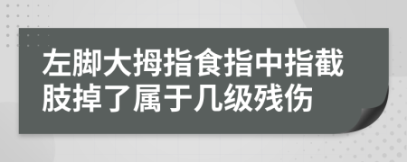 左脚大拇指食指中指截肢掉了属于几级残伤